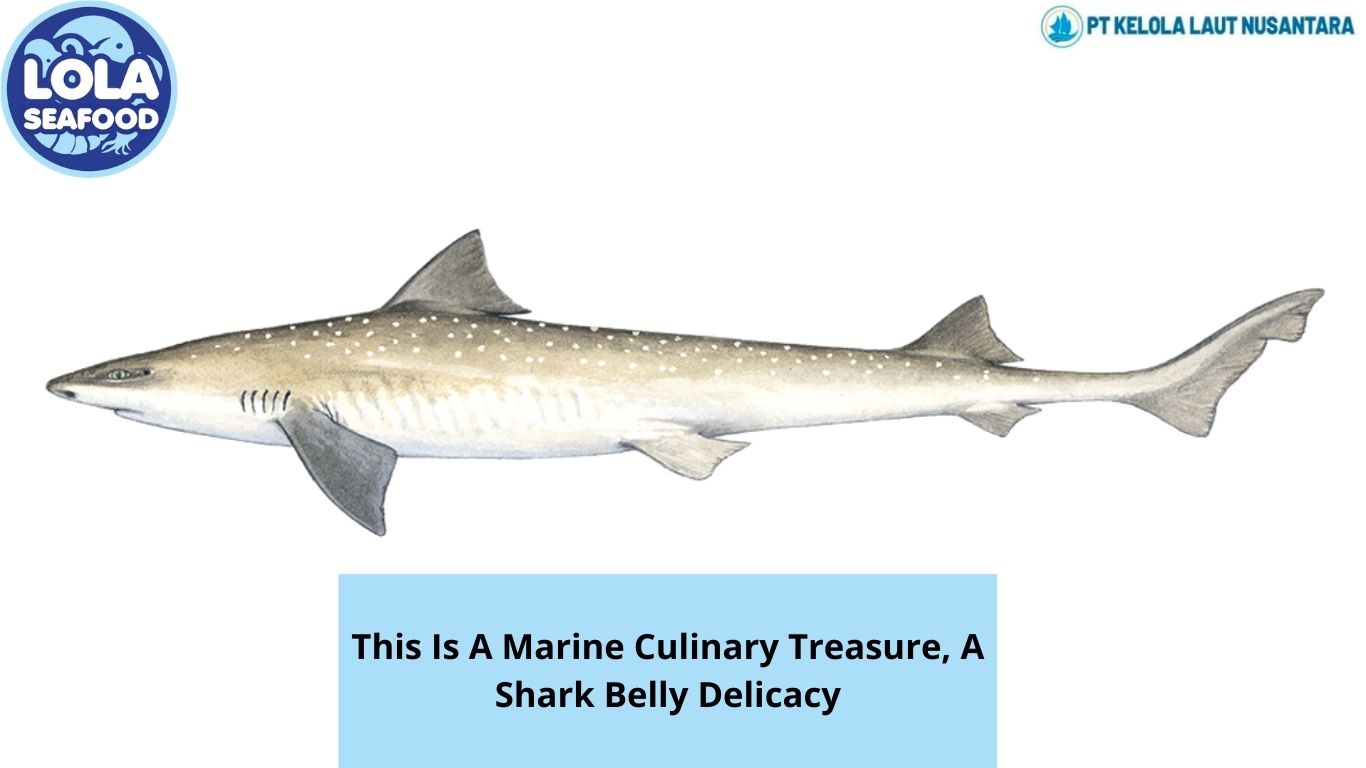 This Is A Marine Culinary Treasure, A Shark Belly Delicacy